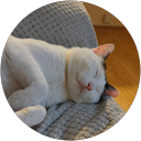 Simon Aldridge profile picture