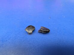 PS5 SCUF REFLEX TRIGGER FIX